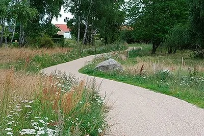 Naturgenopretning med sti gennem blomstrende naturareal
